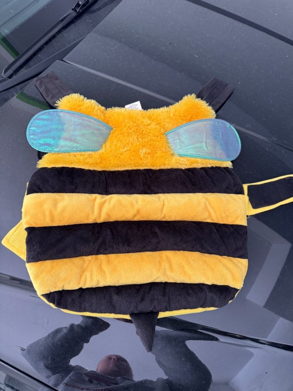 Size Medium Bee Costume for Dogs
